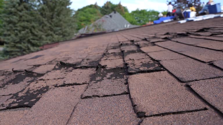 Gutter Replacement in Orange Beach, AL