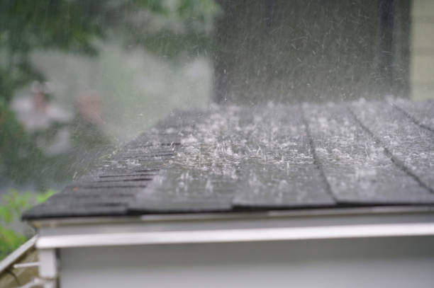 Best Skylight Installation and Repair  in Orange Beach, AL